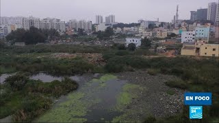 India la lucha ciudadana para limpiar los lagos contaminados de Bangalore [upl. by Eelrihs]