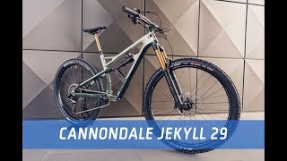 Cannondale Jekyll 29 2019  First Look [upl. by Anadal]