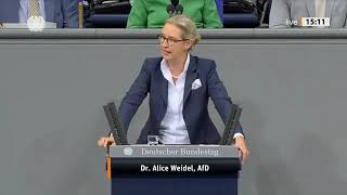 AFD Weidel Merz Scholz [upl. by Solana469]