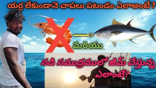 yera lekunda chapalu pattadam ila fishing fish boat trending srikakulam food gym [upl. by Susie438]