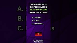 🧠 Quickfire Body Quiz How Well Do You Know Your Organs humanbody anatomy quiztime [upl. by Guthrie]