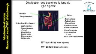 Partie I ce quil faut retenir de la microbiologie alimentaire [upl. by Repip565]