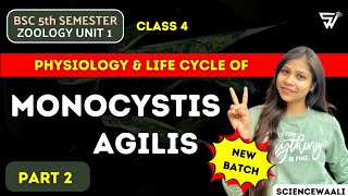 Physiology amp Life cycle of Monocystis agilis🔥BSc 5th Semester Zoology Unit 1 [upl. by Enetsirhc]