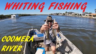 WHITING FISHING COOMERA RIVER 17TH AUG 2024 [upl. by Aimik]