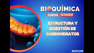 ESTRUCTURA Y DIGESTIÓN DE CARBOHIDRATOS [upl. by Jago829]