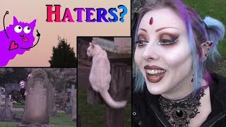 Responding To Haters The Happy Way Ft Graveyard Cats [upl. by Tolmann500]