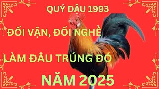 CHẤN ĐỘNG QUÝ DẬU 1993 NĂM 2025 100 ĐỔI ĐỜI [upl. by Idnarb990]