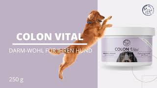 Colon Vital  Darmsanierung Hund [upl. by Aleta471]