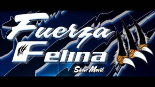 SALSA FUERZA FELINA VOL 1 [upl. by Merralee]