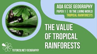 Value of the Tropical Rainforest  AQA GCSE Geography  Tropical Rainforests 7 [upl. by Alexandr]