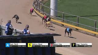 Gawler09102024Race5 [upl. by Epp]