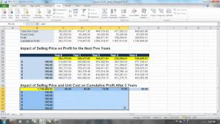 Exercise 53 Sensitivity Analysis  Two Variable Data Table [upl. by Ainehta]