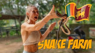 I Took My Girlfriend to A Snake Farm in Sri Lanka to Overcome Her Phobia of Snakes [upl. by Hentrich]