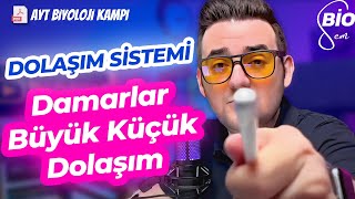 Dolaşım Sistemi2 Damarlar Büyük Küçük Dolaşım  Ayt Biyoloji Konu Anlatımı 11 Sınıf  2024 [upl. by Ilwain]