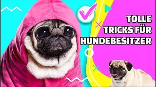 5 einfach zu machende HundeSachen und Geschenkideen für Hundebesitzer [upl. by Nilrev751]