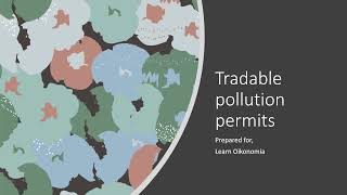 Tradable pollution permits [upl. by Enneirdna]