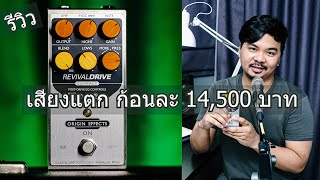 Origin Effects Revival DRIVE Compact  Gear Review by quotJak Natthaphonquot [upl. by Notnek]