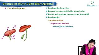 Development of liver amp biliary apparatus  MBBS Lecture [upl. by Anotyad]