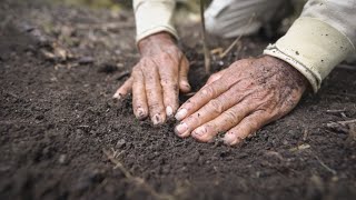 Planting Trees in the Amazon The Amazon Project  One Tree Planted [upl. by Ardnoed]