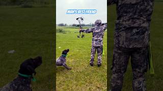 German Wire Haired Pointer doglover dog training archery feedshorts shorts hunting [upl. by Berry]