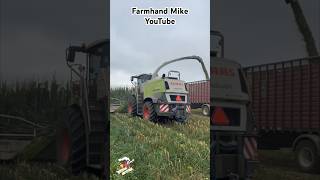 Chopping Corn Silage near Dalton Ohio silageseason farming [upl. by Brigg]