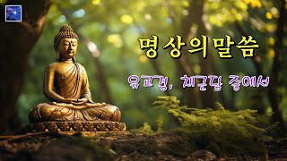 명상의말씀 🌳🌲🍁 유교경 채근담 중에서 위대한 가르침 중에서 선악의 업보받는 모습 원문 장엄염불 부설거사 사부시  엄주환 낭송 [upl. by Levina925]