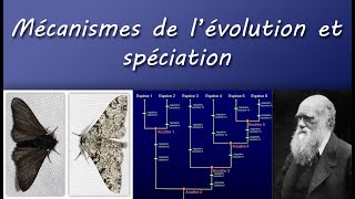 Cours TS  Mécanismes de lévolution et spéciation [upl. by Augusto74]