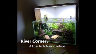 River Corner A Low Tech Nano Tank Biotope [upl. by Ashraf]