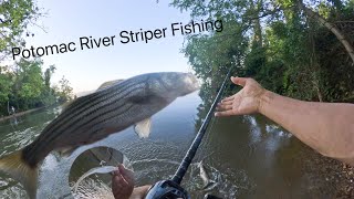 Potomac River Striper Fishing  Jighead amp Fluke For Striped Bass [upl. by Noirred531]