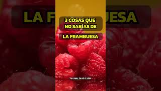 3 BENEFICIOS DE LAS FRAMBUESAS QUE TRANSFORMARÁN TU SALUD estilodevida frambuesas frutas [upl. by Adiesirb]