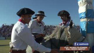 APADRINANDO N°281 16° Festival Nacional del Calden  NUEVA GALIA SL [upl. by Huan499]