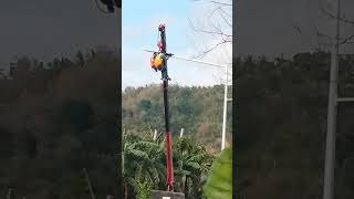 May solar street lights youtube road [upl. by Ahsineg]