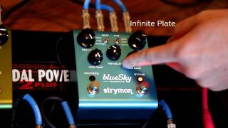 Strymon blueSky Reverb  Infinite Plate [upl. by Gerrard]