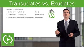 Transudates vs Exudates – Pleural Disease  Lecturio [upl. by Anavrin926]