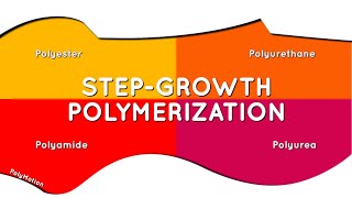 Polyester Polyamide Polyurethane and Polyurea polymerization [upl. by Onirotciv298]