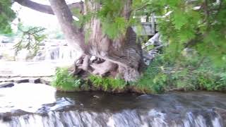 sauble falls video diary  080423 [upl. by Nemhauser]