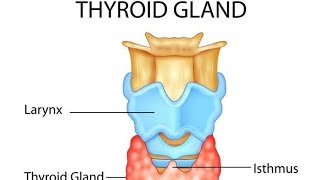 Thyroid gland flowchart map for understanding and to remember hscmaharashtraboard biologynotes [upl. by Attennaej]