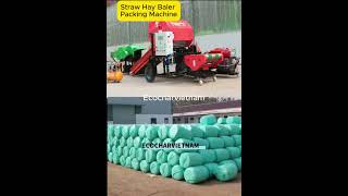 Straw Hay Baler Packing Machine [upl. by Rik]