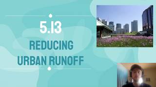 APES Video Notes 513  Reducing Urban Runoff [upl. by Tica]