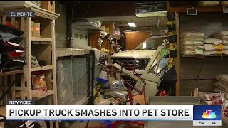 Pickup truck smashes into pet store in El Monte [upl. by Waldos253]