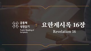 요한계시록 16장 개역개정 [upl. by Roberson]