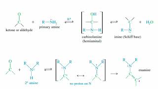 Ketones and Aldehydes  56 [upl. by Aisatan88]