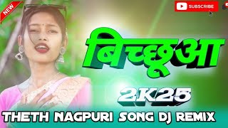 New Theth Nagpuri Song Dj Remix Bichuwa New Theth Nagpuri Song Singer Sarita amp Anita New Song 2025 😈 [upl. by Revned]