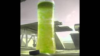 Algae Culturing Nannocloropsis Oculata [upl. by Aitercul184]