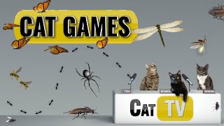 Cat Games  Ultimate Cat TV Bugs and Butterflies Compilation  Videos for Cats to Watch🐱 [upl. by Nytram149]