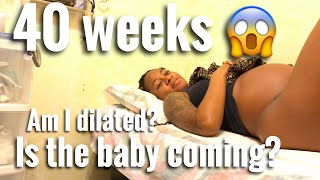 ITS MY DUE DATE 40 WEEK UPDATE  HAVE I DILATED [upl. by Eresed]