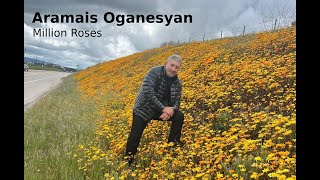 Million Roses Russian Song Aramais Oganesyan [upl. by Ardeth500]