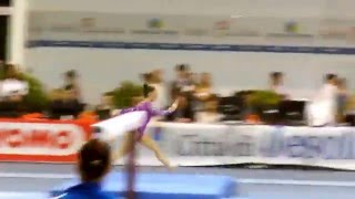 2016 Jesolo Alexandra Raisman VT 13 950 [upl. by Kallick]