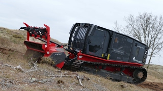 Prinoth Raptor 300 with M650 Mulcher  Crushing Branches amp Stumps  Skovbygaard [upl. by Ainnos215]