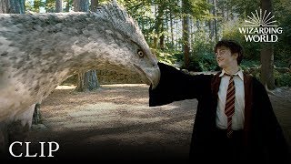 Meet Buckbeak  Harry Potter and the Prisoner of the Azkaban [upl. by Aihsek]